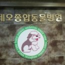 금왕동물병원 이미지