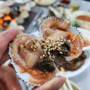 술이술이마술이 - 평택시 원평로39번길 6 | 서해안 당일치기 궁평항 횟집 원평수산 후기