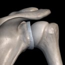 져스트 짐 이미지