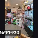 망고&체리 애견샵 이미지