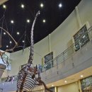 모노로포사우루스 이미지