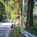 낭성면 행정복지센터 이미지