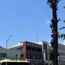 김정형외과의원 이미지