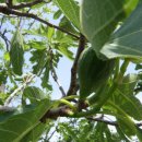 오늘은 선물 이미지