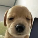 여주-0814 네이버블로그