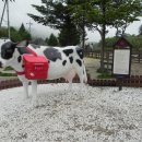 이도목장 이미지