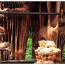 우석헌자연사박물관 이미지