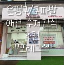 포레그스 | 은평구수제간식 강아지 수제간식맛집 포레그스 후기! (feat.애견레터링케익)