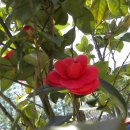 평거동4 이미지