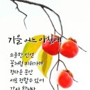 한결같은 마음 이미지