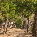 바닷길슈퍼 이미지