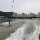 노니살살