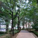 성저 | 🐶 고양시 대화동 성저공원 강아지와 산책후기 🌳