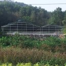 옥천한우농장 이미지