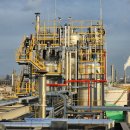 에코바이오페이퍼 이미지