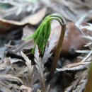 이재구농장 이미지