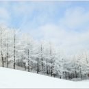 설화목장 이미지