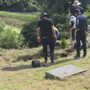 벌초 후 나무 심기, 삶과 뜻을 새기다(수직향나무 블루향나무 황금측백) 이미지