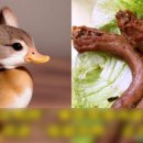 청년오리