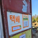 쌍둥이네농장 | 제주 서귀포 아이랑 감귤체험 미즈허팜 솔직 후기 (비오는날 가능 토끼도 있어요)