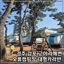 GS25 동해스위첸점 | [공지] 경주 오류캠핑장 대형카라반 고아라해변 해송숲 1박 시설 및 상세 후기