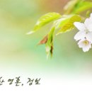 순수세탁 이미지