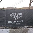 더 파인트리 이미지