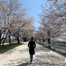 백구소공원 이미지