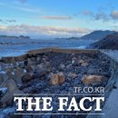 완도11호 이미지