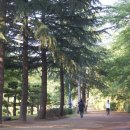 해파랑길 45코스 이미지