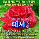 ☔오늘은 대서(大暑)입니다. 비가 내리네요☔ 이미지