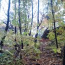 개버랜드 이미지