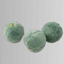 (주)그린퓨어 이미지