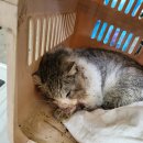 신장로90번길 이미지