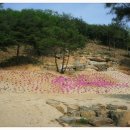 자연밸리 관광농원 이미지