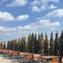 광주007 | [광주 본촌동 카페] 하이퍼스탠다드 로스팅 브런치 후기 브리오슈 토스트 강추!