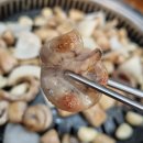 대전 둔산동 곱창구이 맛집 &#39;곱창인가&#39; 후기