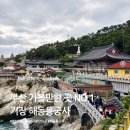 지석수산 | 부산 아이랑 가볼만한 곳 해동용궁사 소원명소 주차 꿀팁