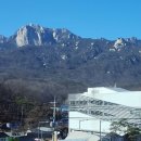 현순농장 이미지