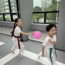 일여혼태권도장 이미지