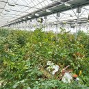 예송 농장 이미지