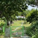 개멍물멍 이미지