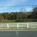 여주-1099 이미지