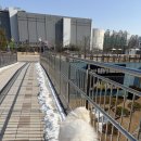 운동장 | 오산 반려동물테마파크 대형견 운동장 후기