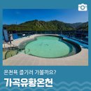 상주농업협동조합목욕탕 | 물 좋은 곳, 가곡유황온천장 | 삼척 가볼만한곳