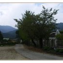 야로초등학교 이미지