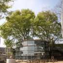 큰나무유치원 이미지