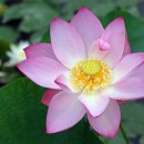 더잘자짐 이미지