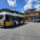 별이반점 이미지