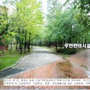 숲속자연앤데시앙 티스토리
